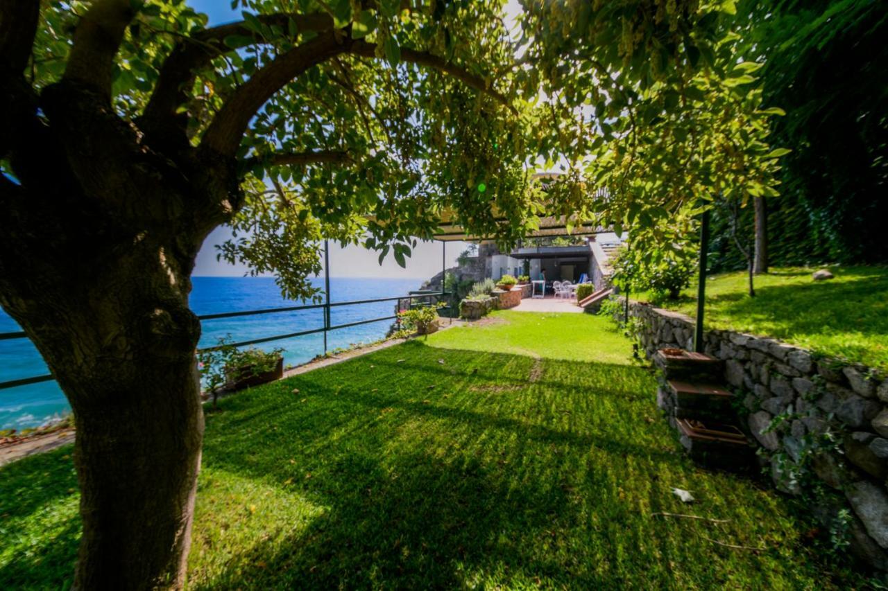 Villa Alcado Copanello Kültér fotó